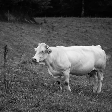 Séjour à la campagne Izal Landetxea Bergara